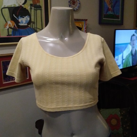 Yellow Small Crop Top by Miss Juli New York   CUTE - Picture 1 of 3